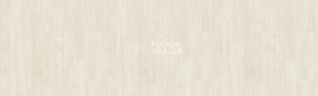 Линолеум Tarkett Caprice GLORIOSA 1 фото 1 | FLOORDEALER